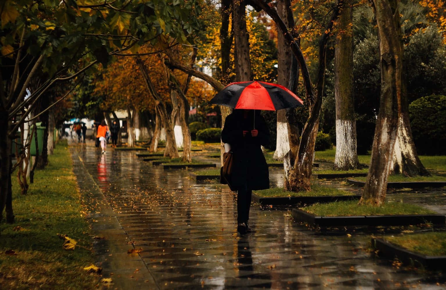 雨巷来客电影海报